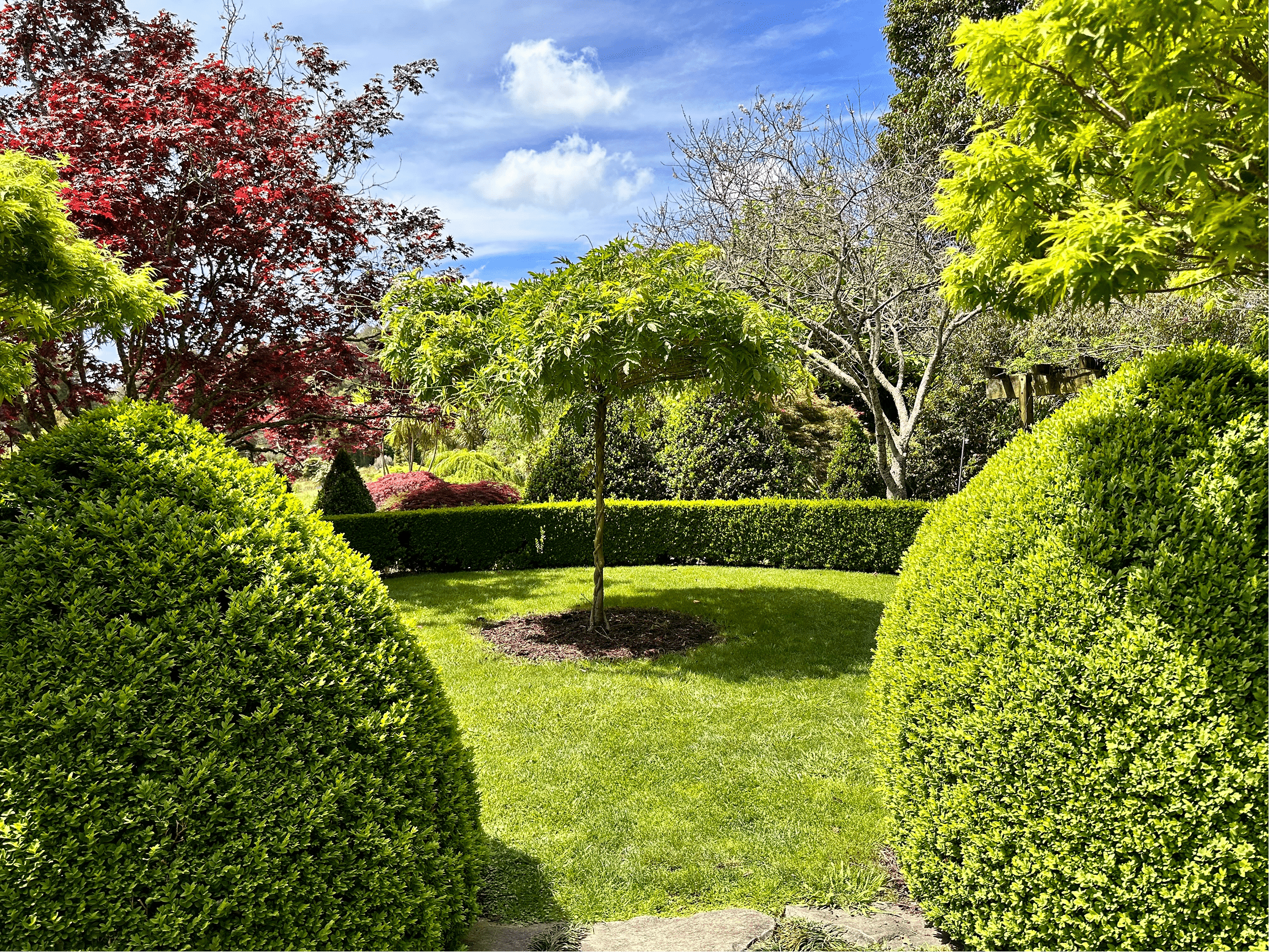image of a beautifully landscaped garden